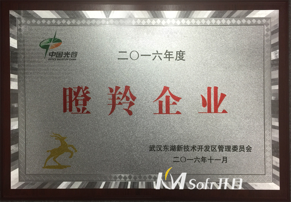 2016年瞪羚企業 獎牌