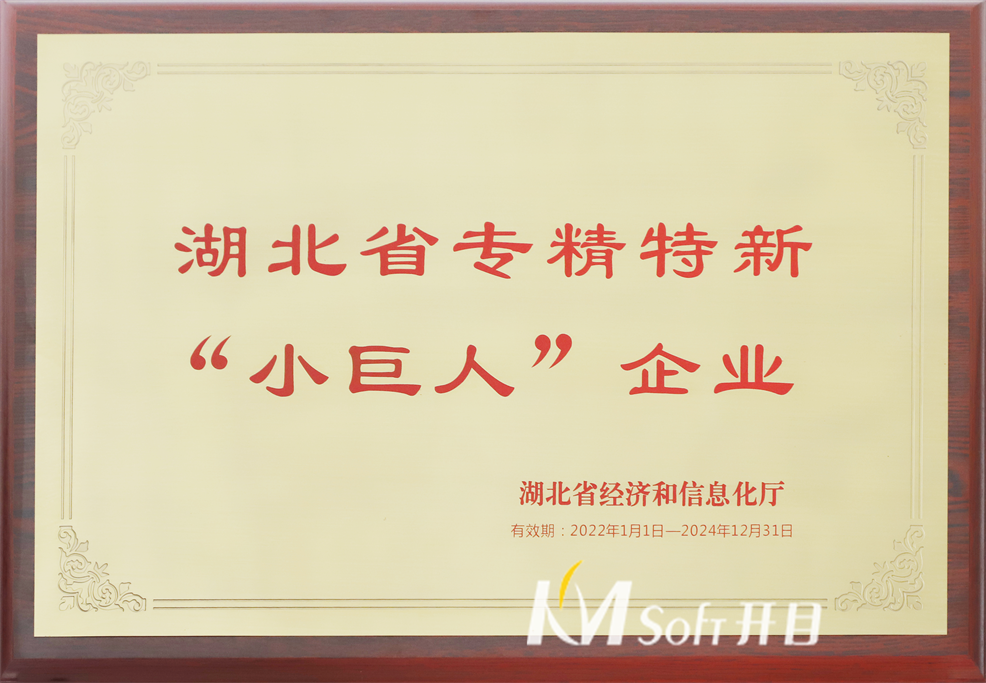 湖北省專精特新小巨人企業