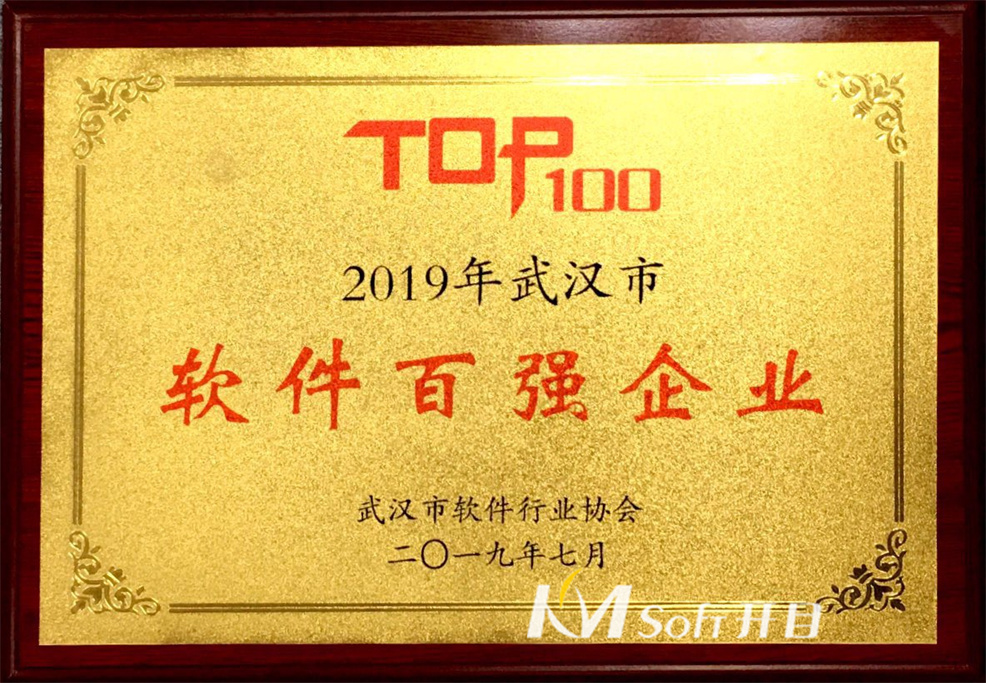 2019年武漢市軟件百強企業-武漢市軟件行業協會