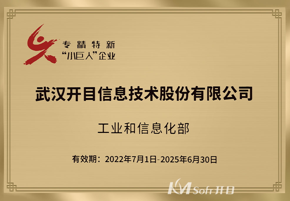 國家級專精特新“小巨人”企業